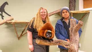 Forget Dr Doolittle, study finds animals might not only want to use tech, but they also want to talk to us with it — and it could be 'incredibly powerful for the future of conservation'