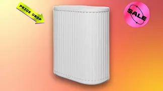 Let's Clear the Air: The CNET-Favorite Windmill Air Purifier Max Is Now $100 Off