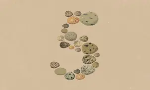 Claude Opus 5 is here, and Anthropic says it can rival Fable 5 in some tasks