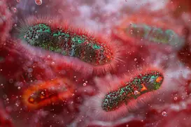 A Diarrhea-Causing Superbug Is on the Rise, Health Officials Warn